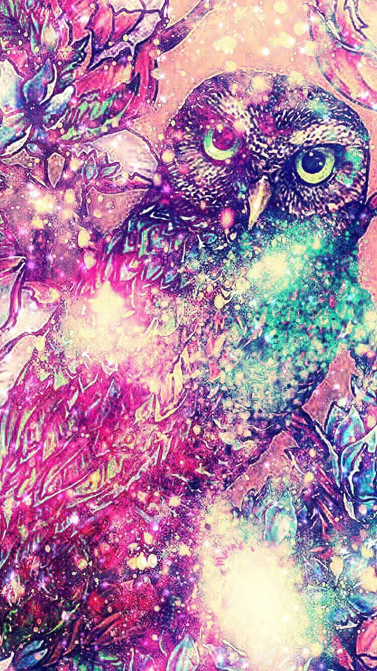 Download colorful owl wallpaper suitable for Samsung phones