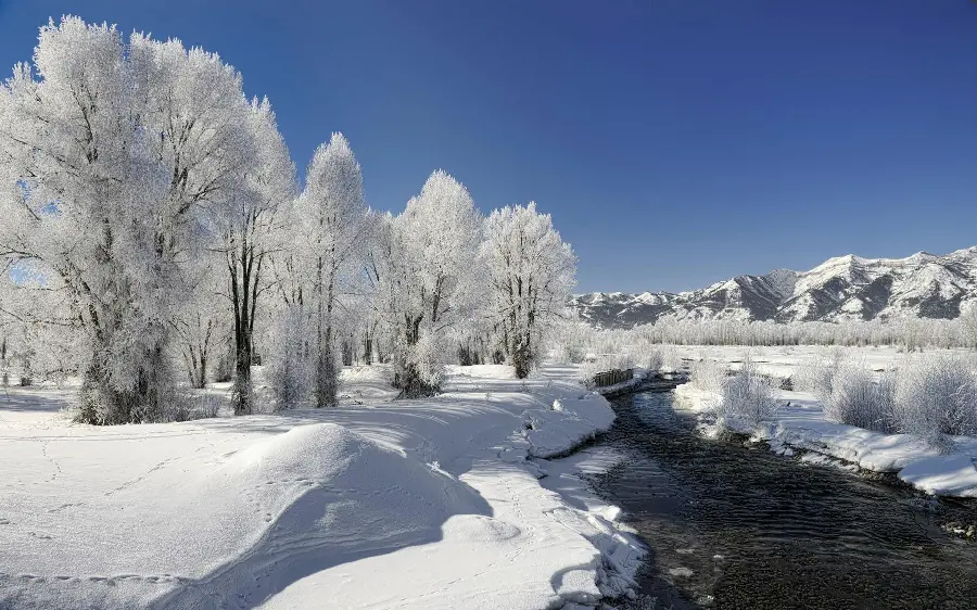 Winter season photo for printing on paper and large size banner in color
