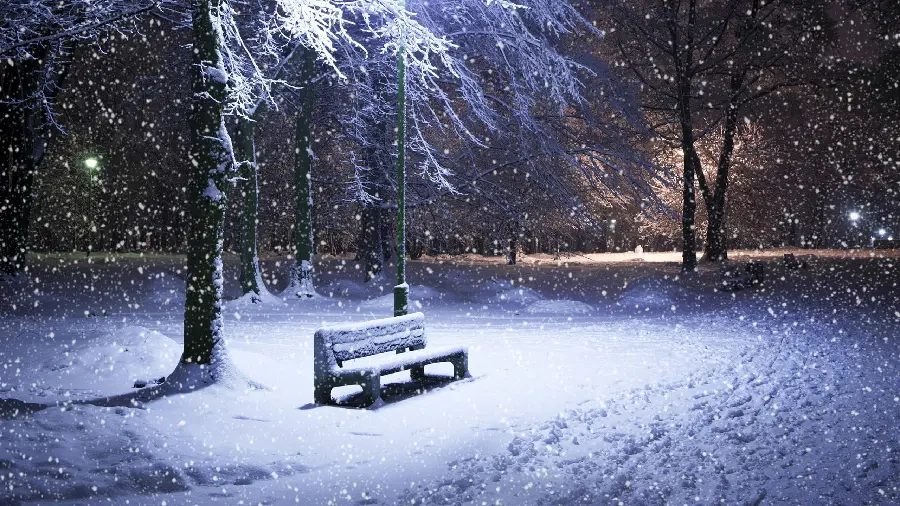 Photo of a snowy bench in the park and winter for your profile and phone background