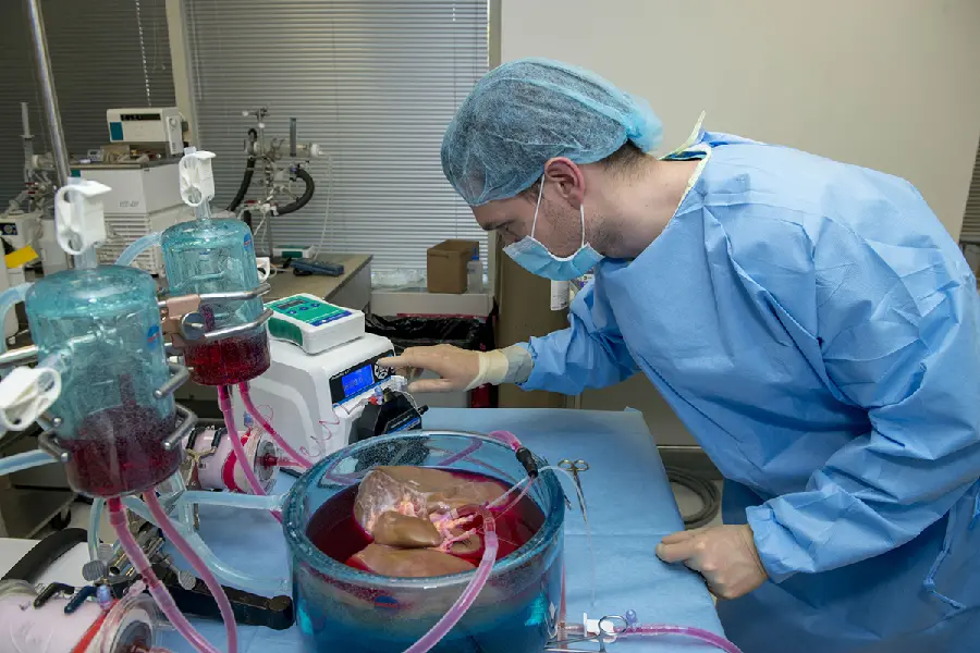 Photo of an internal medicine doctor researching the liver
