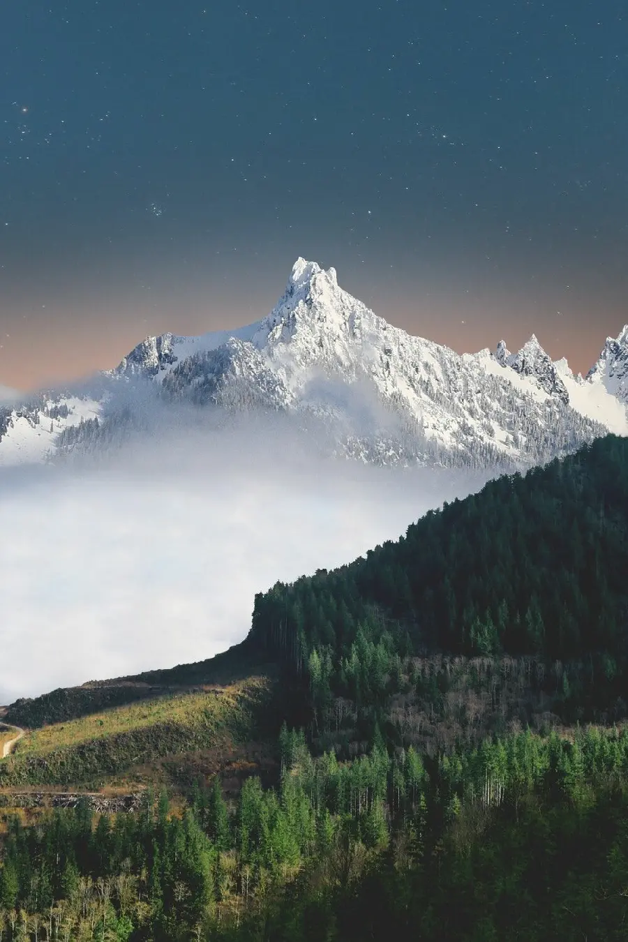 Download the iPhone 11 and iPhone 11 Pro wallpaper in HDR quality with a forest and snowy mountains design