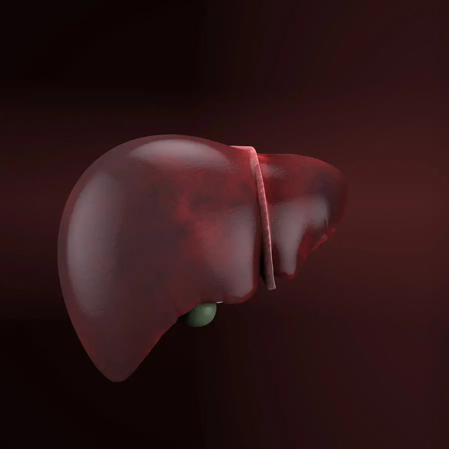 Human liver profile photo with black background