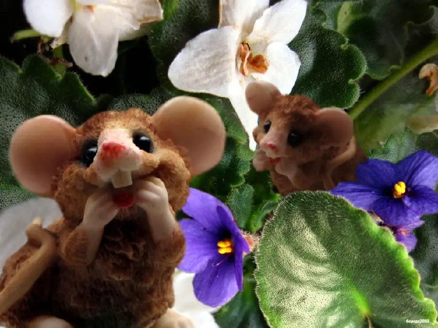 Picture of playful mice among flowers