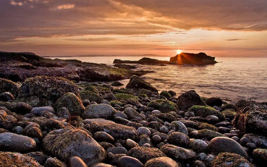 Photo of Acadia National Park with a cobblestone beach in high quality