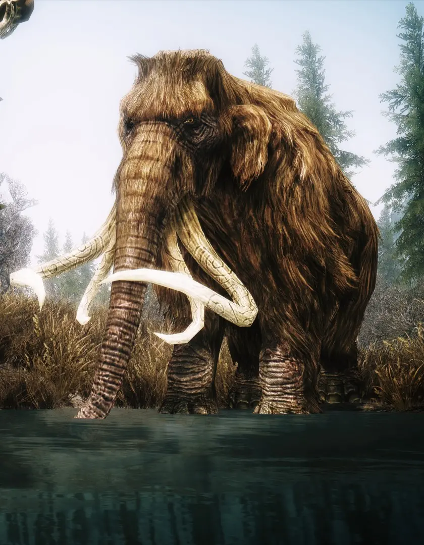 Image and stock image of a sad old mammoth with four tusks floating in the river