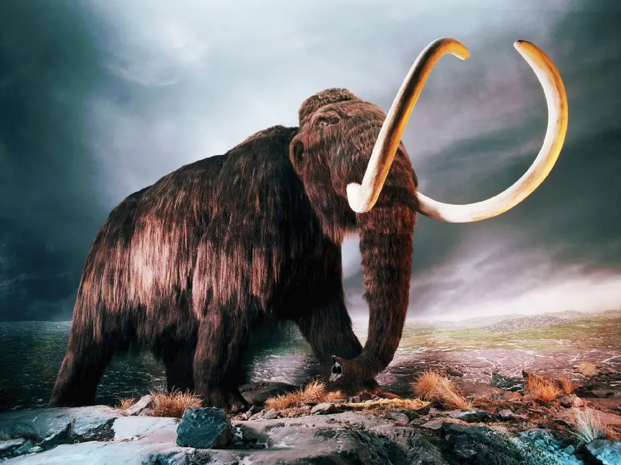 Image of a terrified mammoth trapped in inclement weather