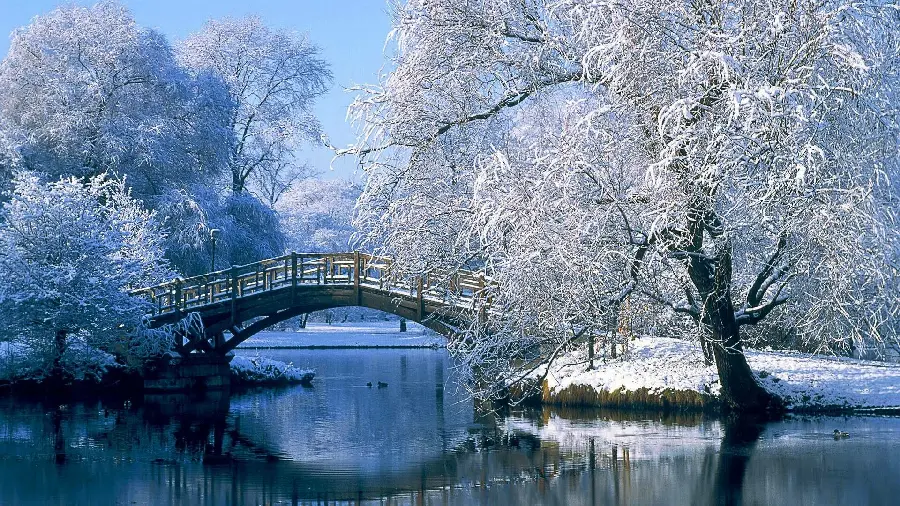 Photo of a beautiful bridge and snowy trees with a romantic view in winter