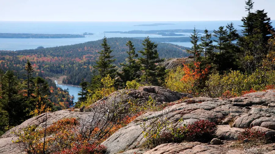 Download captivating landscape photo of Acadia National Park