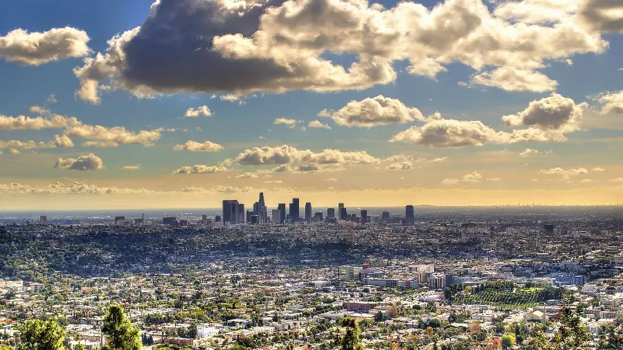 Profile photo of Los Angeles city for social networks