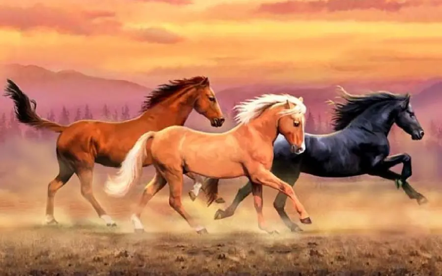 Download noble animal horse wallpaper in HD quality for wallpaper