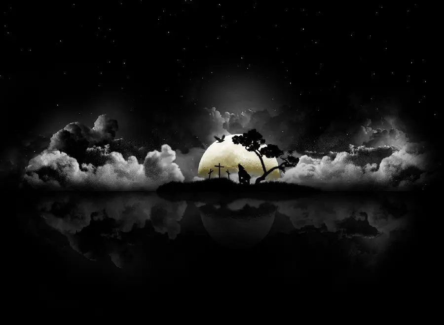 Digital art photo for profile and phone background