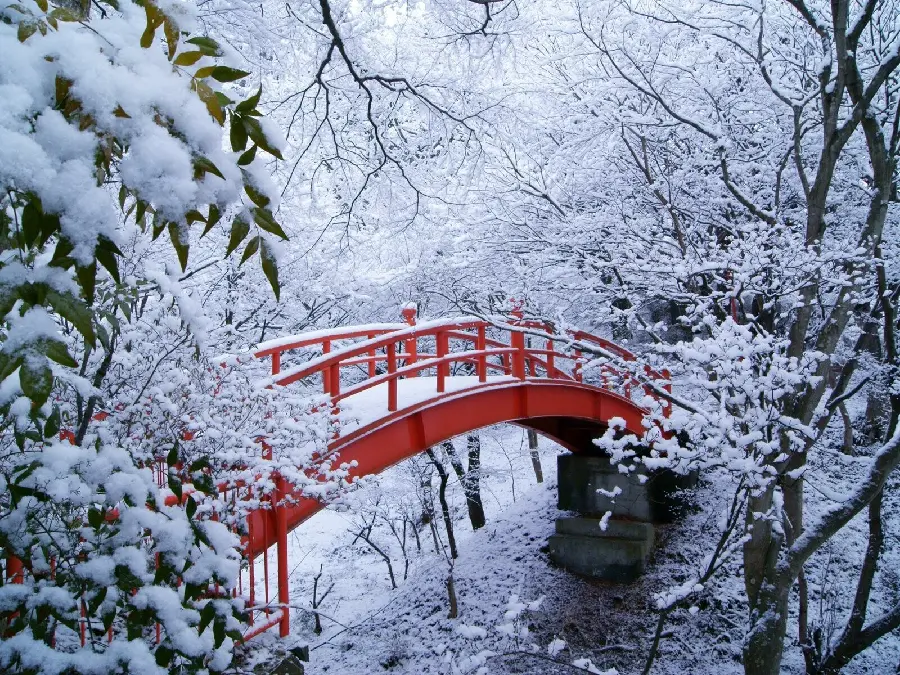 High quality photo of snowy landscape and winter nature and beautiful red bridge in the heart of the forest
