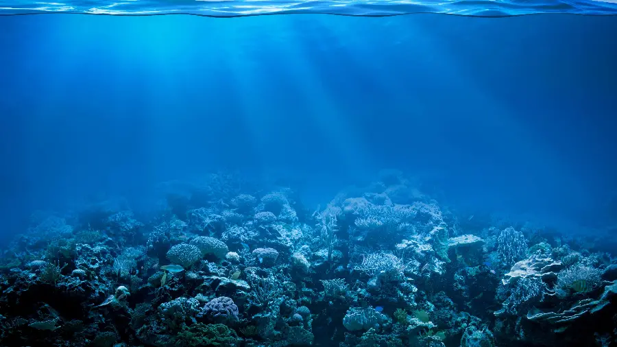 Penetration of sunlight on coral reefs