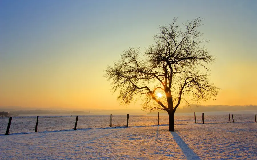Beautiful and spectacular HD background image of winter for printing on boards and chassis panels