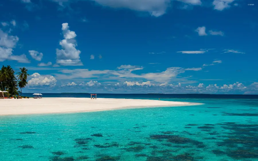 The most lovely blue ocean wallpaper for Windows 10 and 11