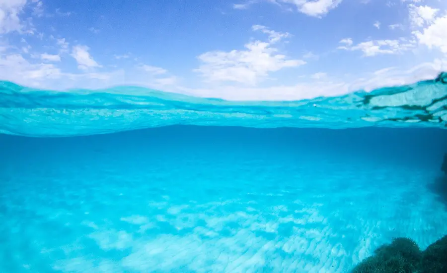 Underwater background photo and underwater background for computer and laptop