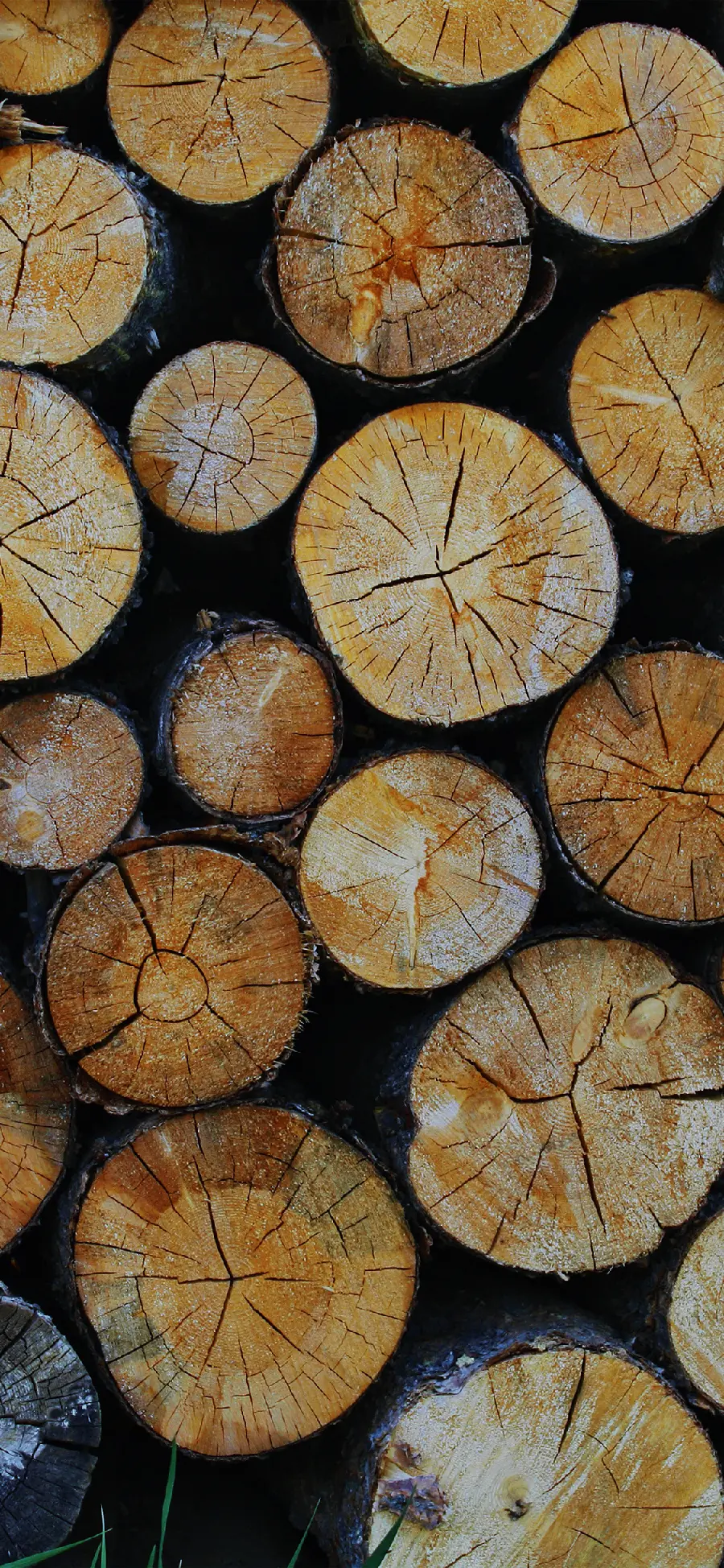 Download wooden-themed wallpaper for iPhones in HD quality