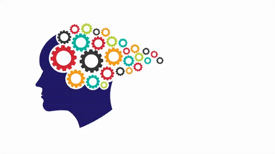 Photo of a thinking brain with a white background for a profile