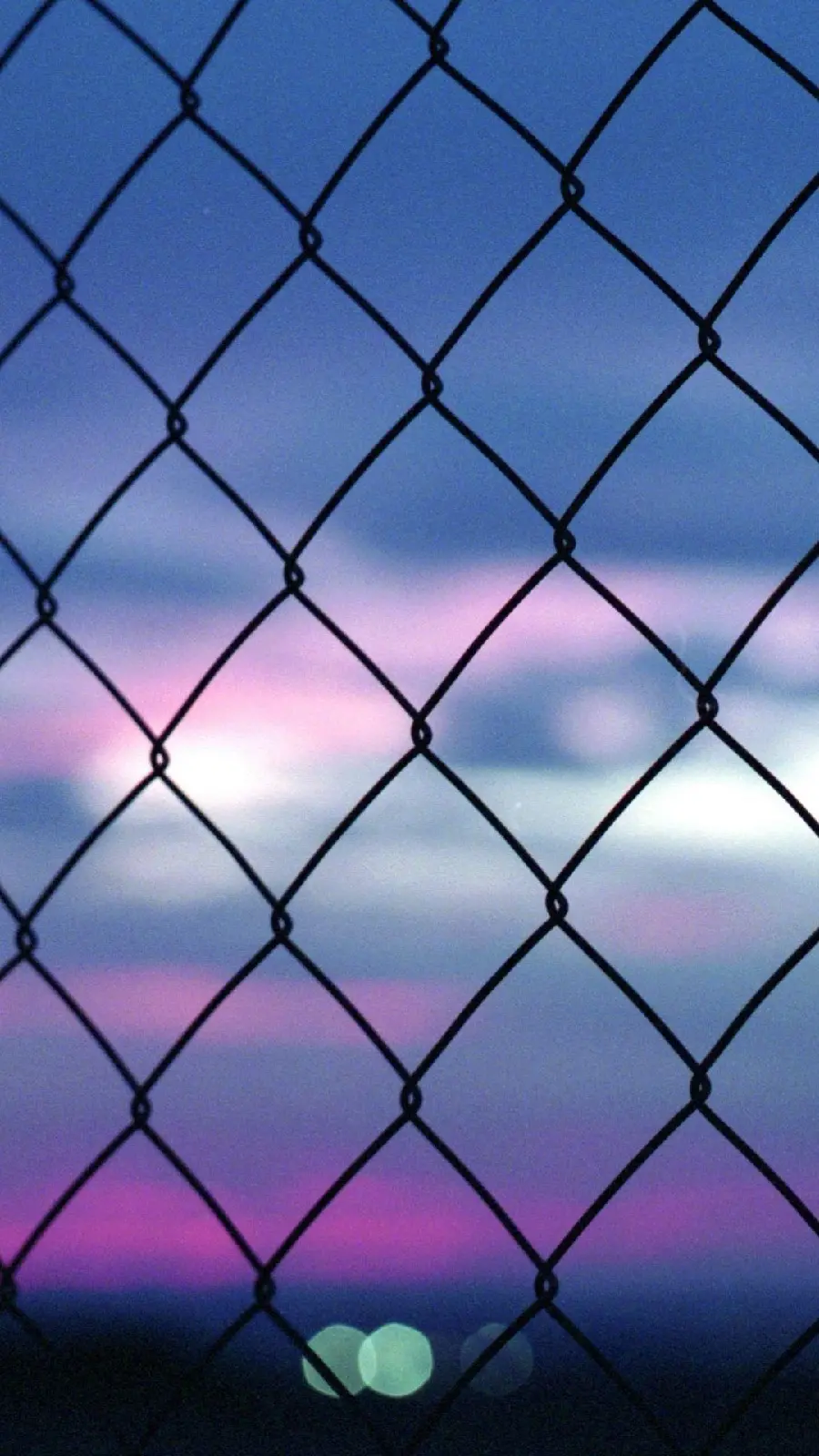 Prisoner's freedom photo
