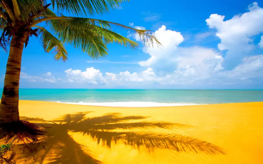 Beautiful Photos of Jamaica Beaches