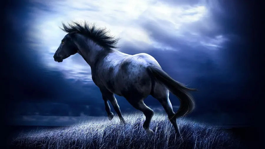 Horse wallpaper for desktop in full hd quality