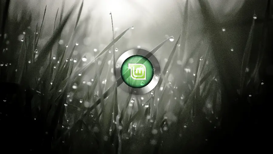 New and Cool Wallpaper for Linux Mint