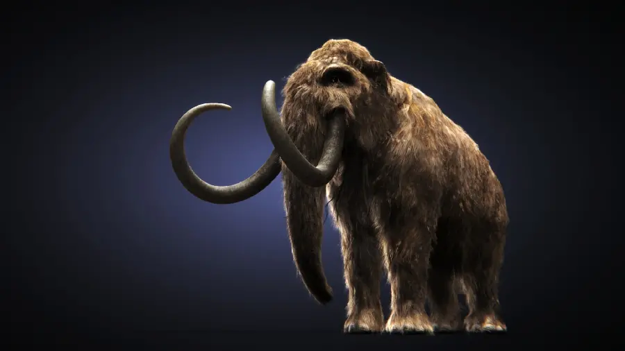 Photo of a young mammoth on a carbon blue and black background