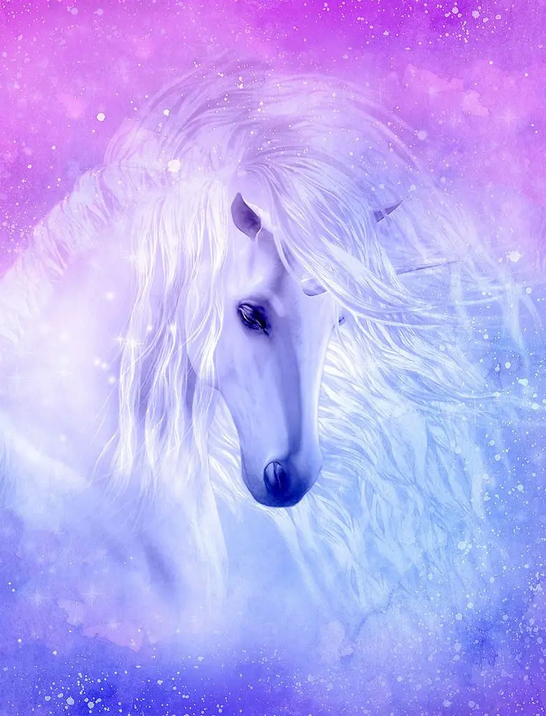 Photo and stock image of a unicorn horse and unicorn in a purple space for background
