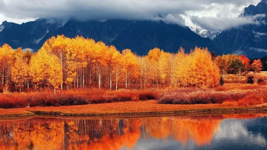 Photo of beautiful and dreamy yellow and red trees in autumn for backgrounds and profiles
