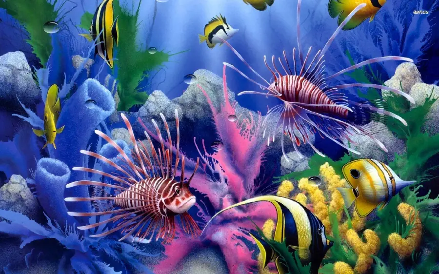 HD wallpaper of colorful ocean fish