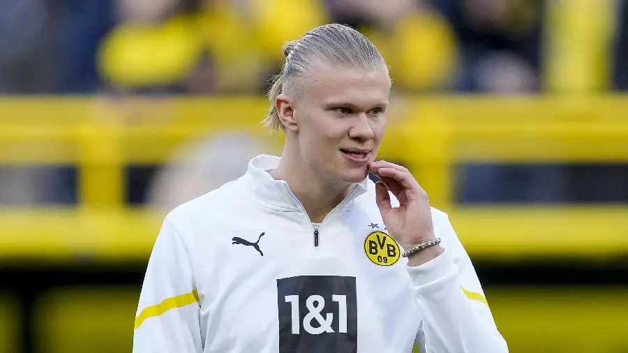 Erling Haaland profile picture
