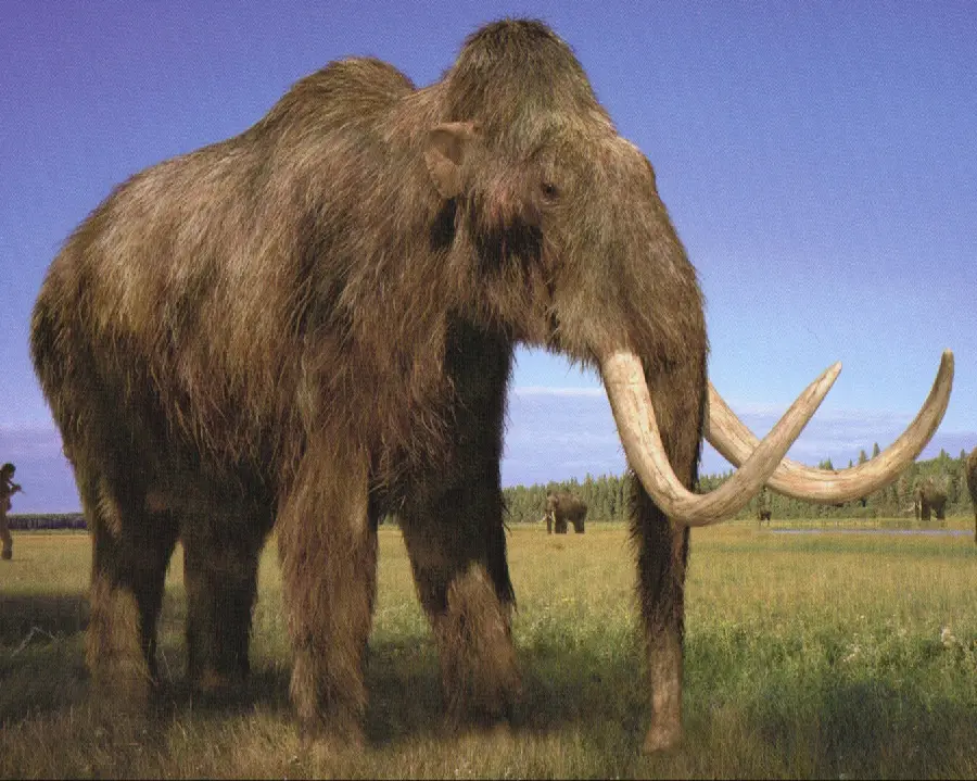 Beautiful image of a herd of mammoths on a large farm