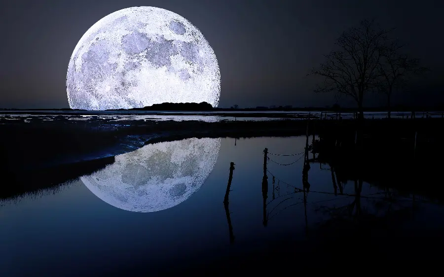 Beautiful photo of the moon and at close range for profile