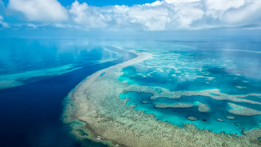 Beautiful background of coral reef from above