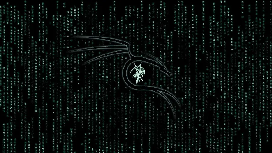 Kali Linux Wallpaper with Black Background