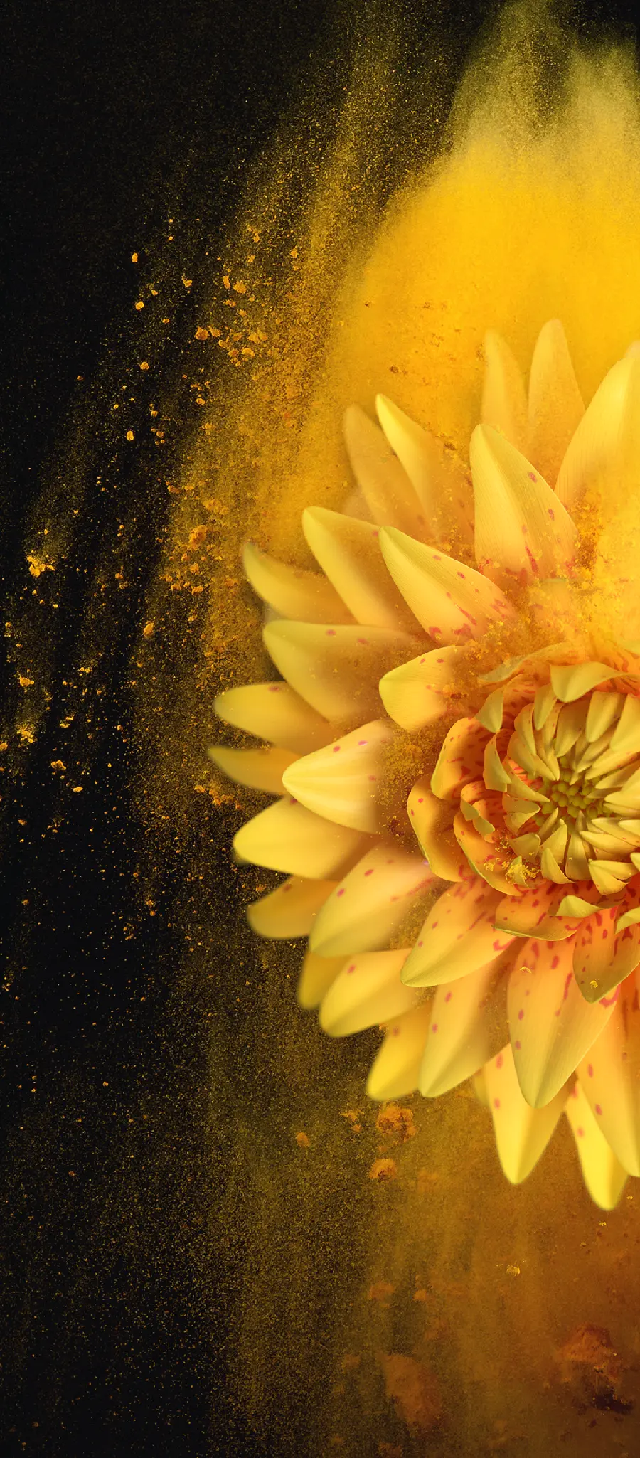 Yellow flower wallpaper for smartphones