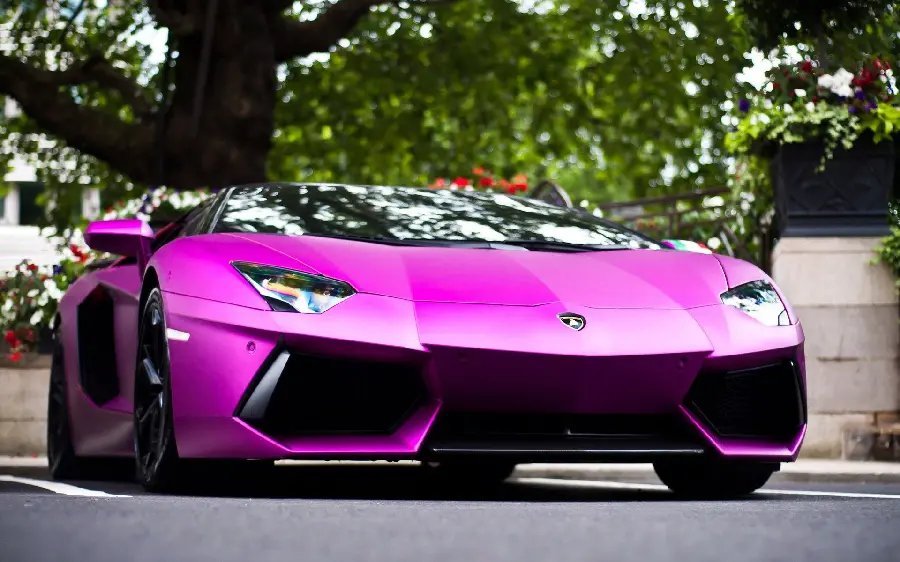 Download Pink Lamborghini Photo for Background and Profile