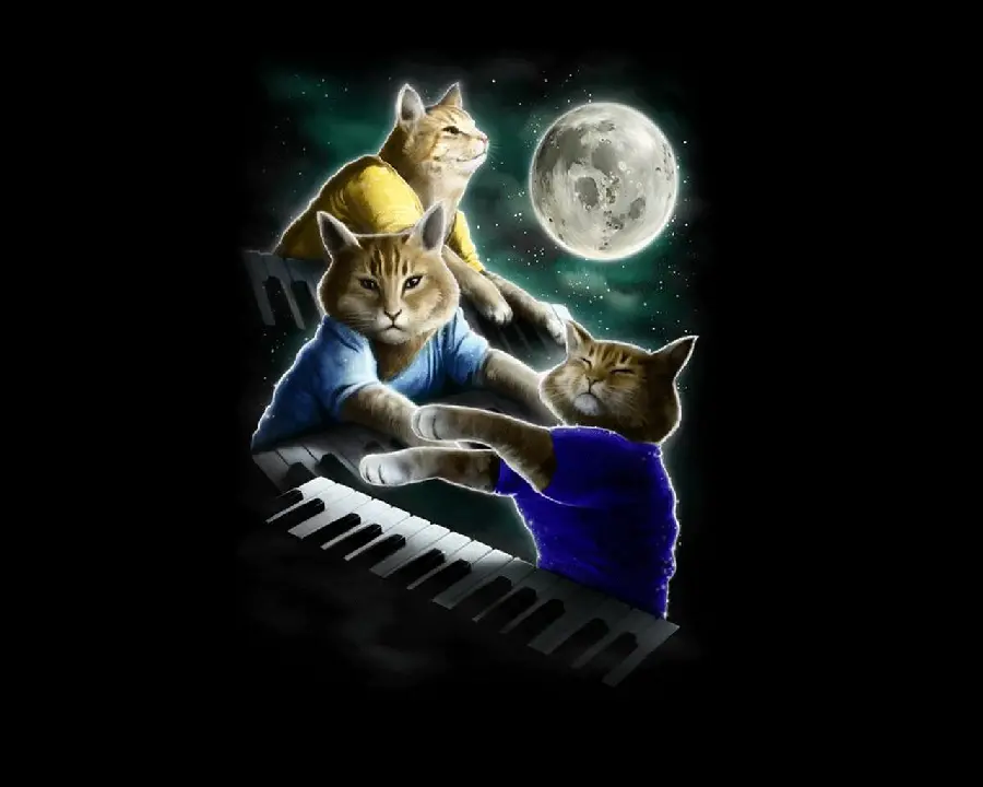 Cool image of Female piano cats and artists 