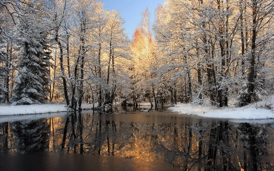 Photo of snow-covered trees with a flowing river in winter for mobile wallpaper