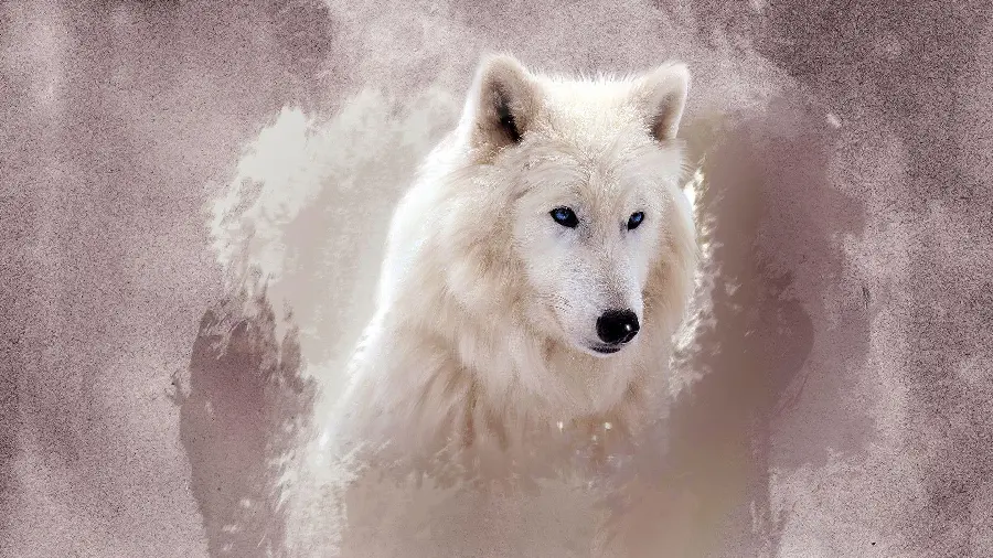 Download a beautiful high-quality background of a white wolf