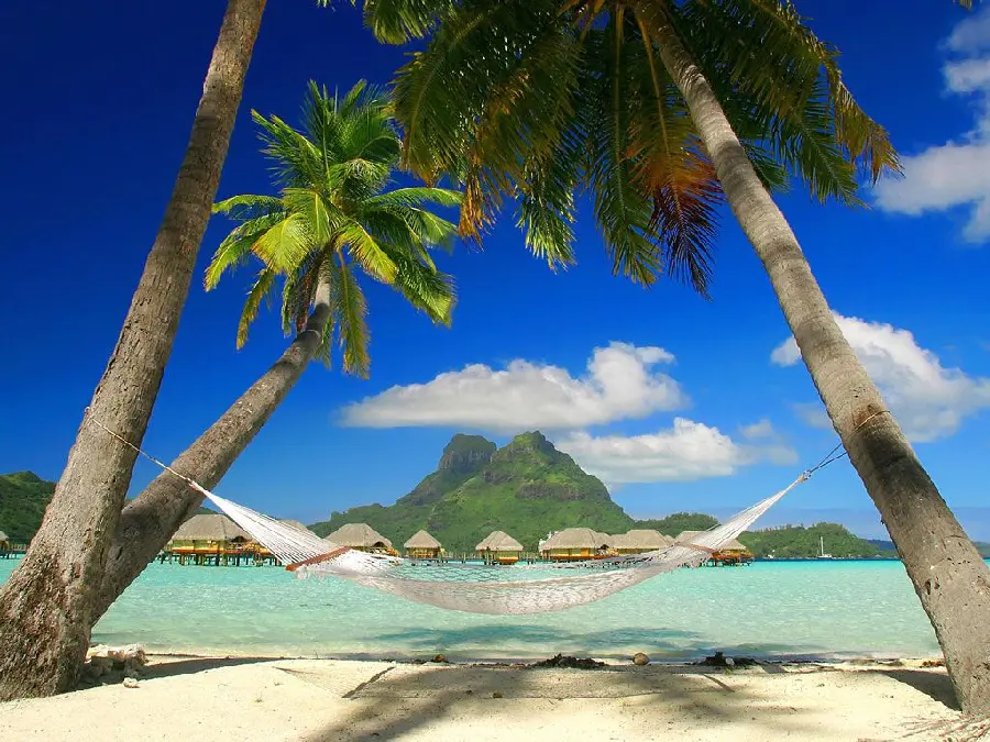Dreamy Jamaica nature photos for profile