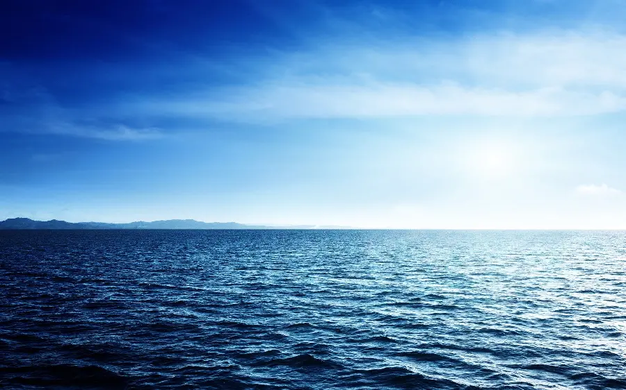 Download pristine nature photo from the depths of the ocean with 4k quality