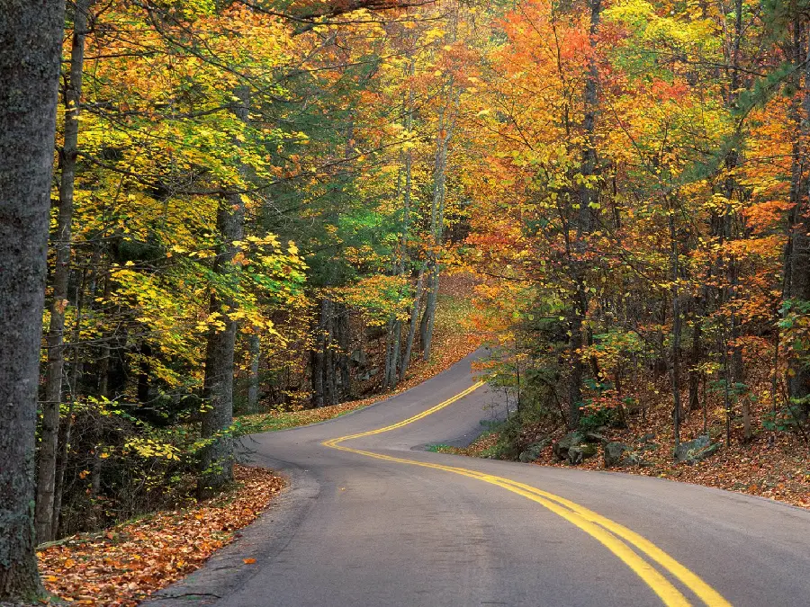 Download autumn photo without text for girls and boys' profiles