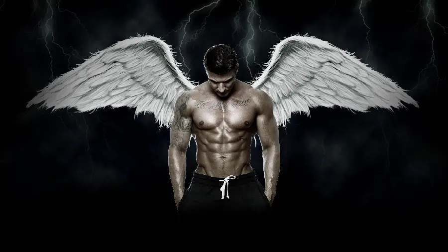 Humanoid and attractive winged angel wallpaper