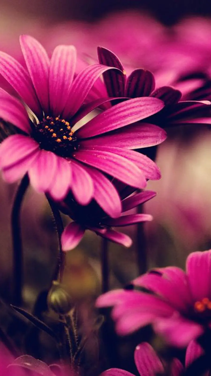 Best Wallpaper Samsung