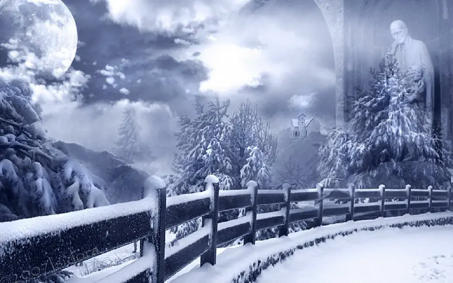Romantic and beautiful snow and winter photo for profile and beautiful bridge