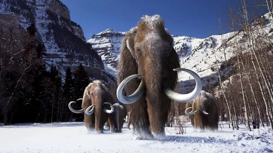  Beautiful image of a herd of Mammoths in the mountains and snowy forest
