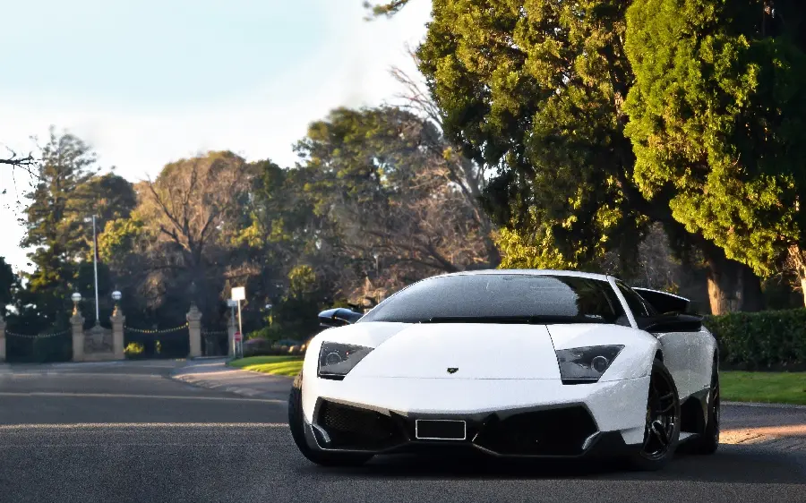 White Lamborghini Murcielago Laptop Background in a Beautiful and Special Space