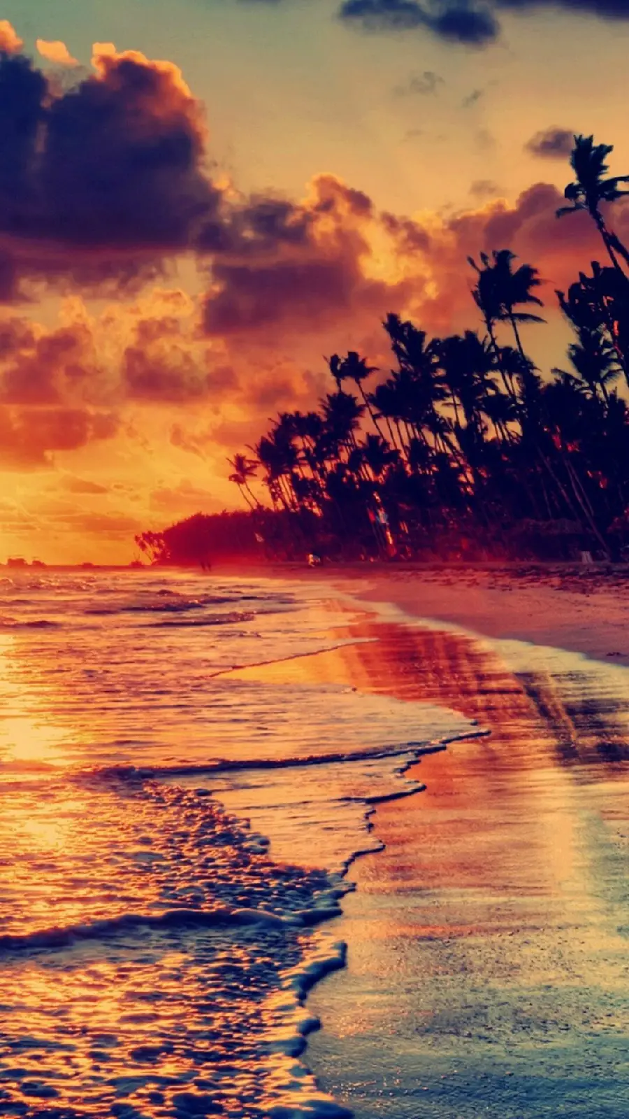 Download iOS 15 wallpaper for iPhone and iPad with beach, tree and sunset design