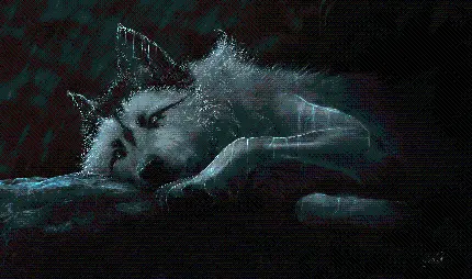 Beautiful fantasy photo of a lying wolf in high quality